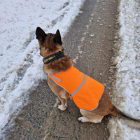 Fluovest voor honden