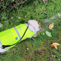 Fluovest voor honden